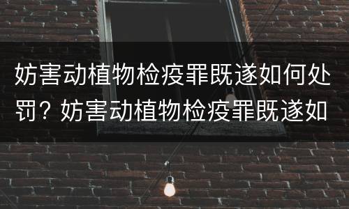 妨害动植物检疫罪既遂如何处罚? 妨害动植物检疫罪既遂如何处罚