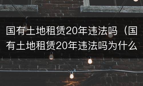 国有土地租赁20年违法吗（国有土地租赁20年违法吗为什么）
