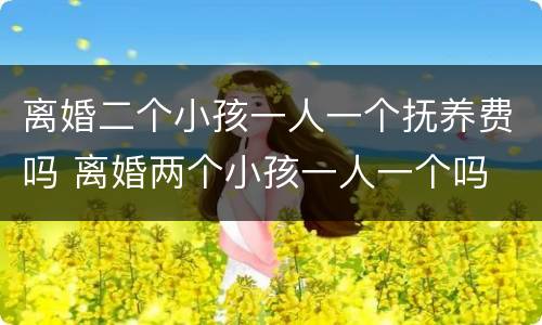 离婚二个小孩一人一个抚养费吗 离婚两个小孩一人一个吗