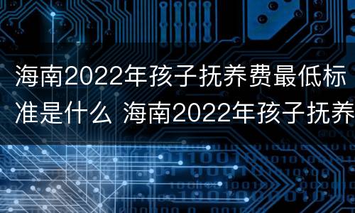 海南2022年孩子抚养费最低标准是什么 海南2022年孩子抚养费最低标准是什么呢