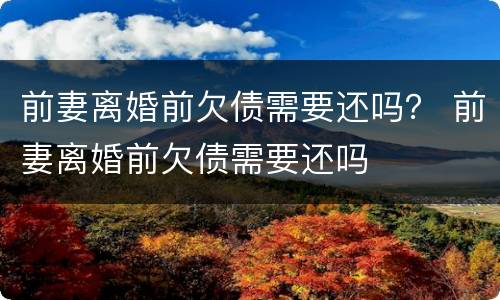 前妻离婚前欠债需要还吗? 前妻离婚前欠债需要还吗