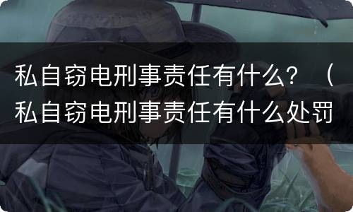 私自窃电刑事责任有什么？（私自窃电刑事责任有什么处罚）