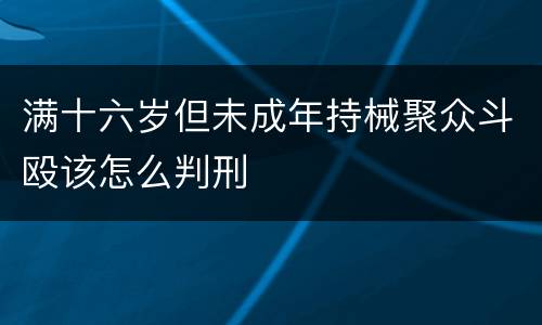满十六岁但未成年持械聚众斗殴该怎么判刑