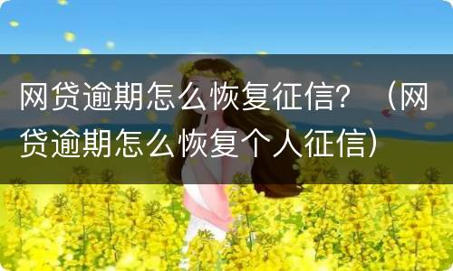 网贷逾期怎么恢复征信？（网贷逾期怎么恢复个人征信）