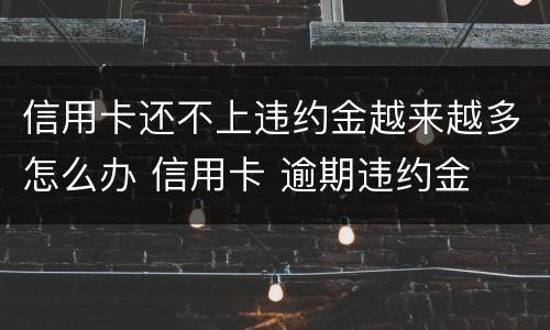 信用卡还不上违约金越来越多怎么办 信用卡 逾期违约金