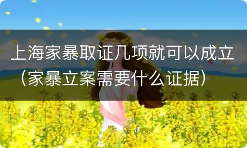 上海家暴取证几项就可以成立（家暴立案需要什么证据）