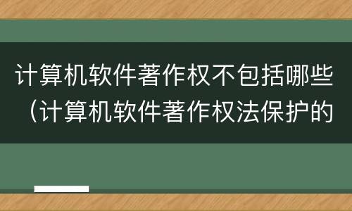 计算机软件著作权不包括哪些（计算机软件著作权法保护的内容不包括）