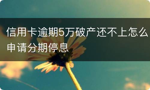 信用卡逾期5万破产还不上怎么申请分期停息