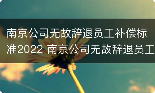 南京公司无故辞退员工补偿标准2022 南京公司无故辞退员工补偿标准2022最新