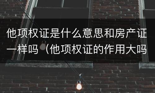 他项权证是什么意思和房产证一样吗（他项权证的作用大吗?）