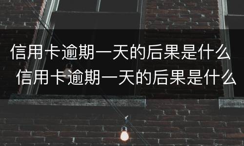 信用卡逾期一天的后果是什么 信用卡逾期一天的后果是什么光大信用卡