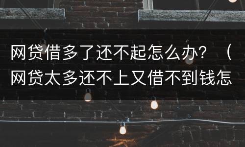 网贷借多了还不起怎么办？（网贷太多还不上又借不到钱怎么办）