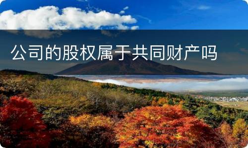 公司的股权属于共同财产吗