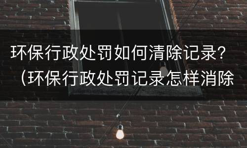 环保行政处罚如何清除记录？（环保行政处罚记录怎样消除）