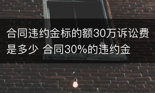 合同违约金标的额30万诉讼费是多少 合同30%的违约金