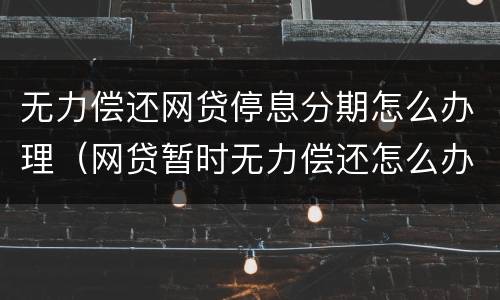 无力偿还网贷停息分期怎么办理（网贷暂时无力偿还怎么办）
