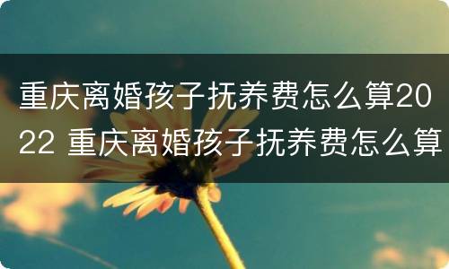 重庆离婚孩子抚养费怎么算2022 重庆离婚孩子抚养费怎么算