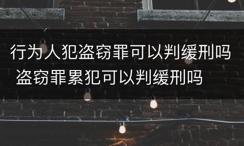 行为人犯盗窃罪可以判缓刑吗 盗窃罪累犯可以判缓刑吗