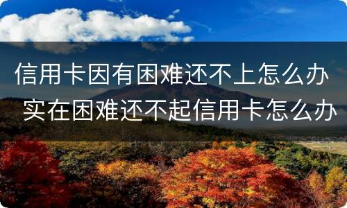 信用卡因有困难还不上怎么办 实在困难还不起信用卡怎么办