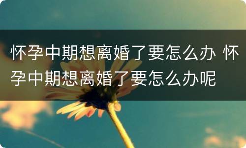 怀孕中期想离婚了要怎么办 怀孕中期想离婚了要怎么办呢