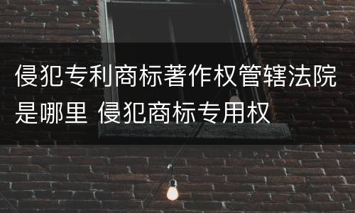 侵犯专利商标著作权管辖法院是哪里 侵犯商标专用权
