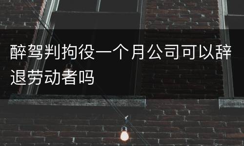 醉驾判拘役一个月公司可以辞退劳动者吗