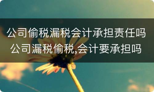 公司偷税漏税会计承担责任吗 公司漏税偷税,会计要承担吗