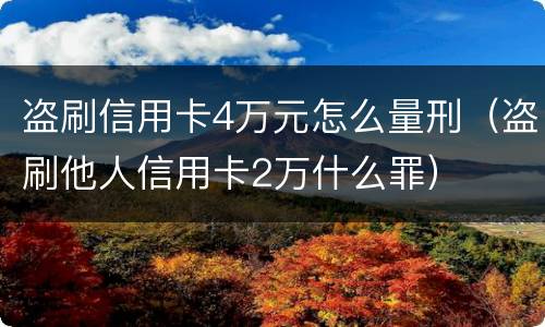 盗刷信用卡4万元怎么量刑（盗刷他人信用卡2万什么罪）