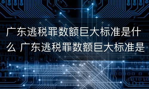 广东逃税罪数额巨大标准是什么 广东逃税罪数额巨大标准是什么