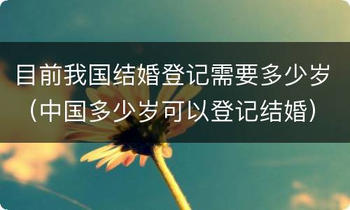 目前我国结婚登记需要多少岁（中国多少岁可以登记结婚）