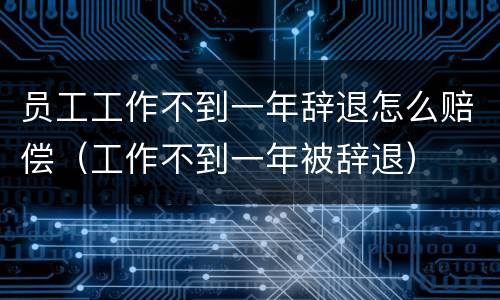 员工工作不到一年辞退怎么赔偿（工作不到一年被辞退）