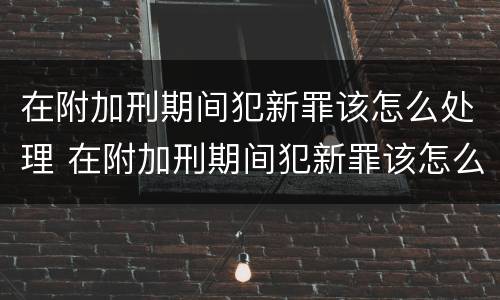 在附加刑期间犯新罪该怎么处理 在附加刑期间犯新罪该怎么处理呢