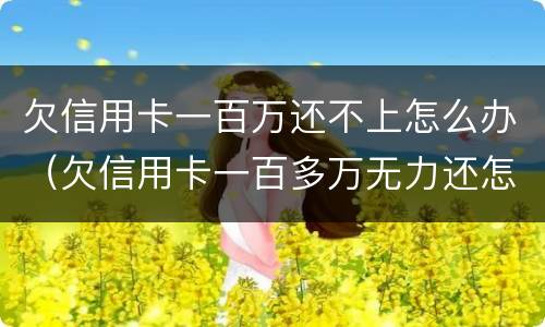 欠信用卡一百万还不上怎么办（欠信用卡一百多万无力还怎么解决）