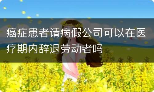 癌症患者请病假公司可以在医疗期内辞退劳动者吗