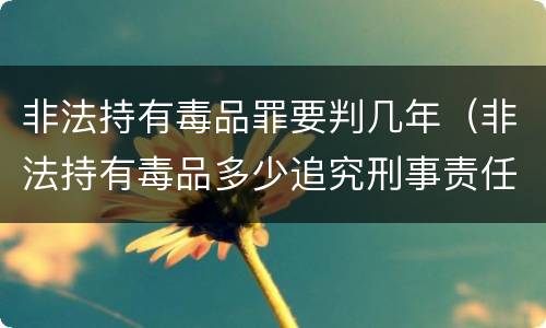 非法持有毒品罪要判几年（非法持有毒品多少追究刑事责任）
