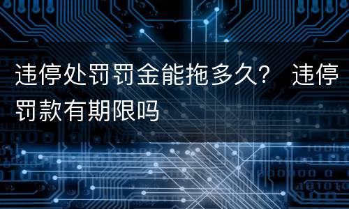 违停处罚罚金能拖多久？ 违停罚款有期限吗