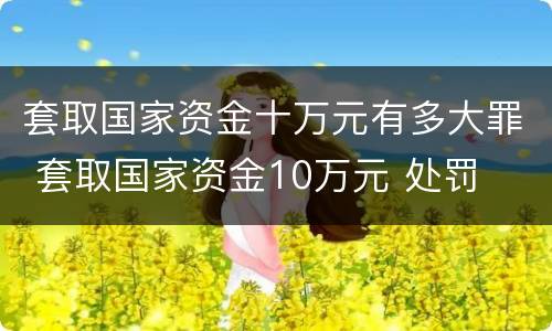 套取国家资金十万元有多大罪 套取国家资金10万元 处罚