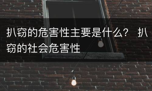 扒窃的危害性主要是什么？ 扒窃的社会危害性