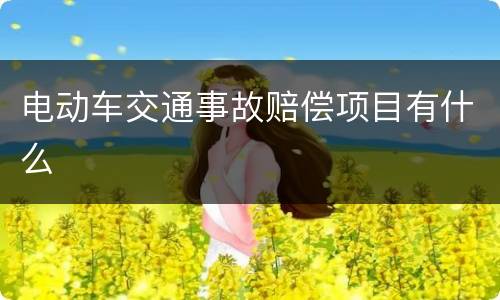 电动车交通事故赔偿项目有什么