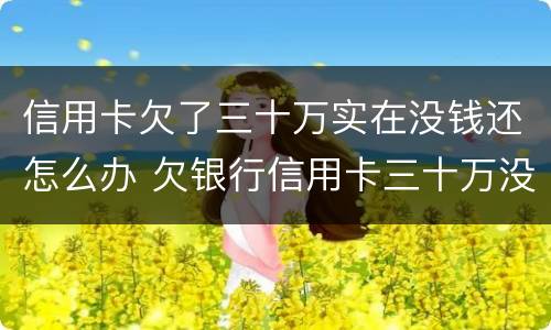 信用卡欠了三十万实在没钱还怎么办 欠银行信用卡三十万没有钱还怎么为