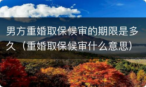 男方重婚取保候审的期限是多久（重婚取保候审什么意思）
