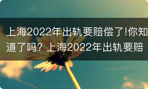 上海2022年出轨要赔偿了!你知道了吗? 上海2022年出轨要赔偿了!你知道了吗视频