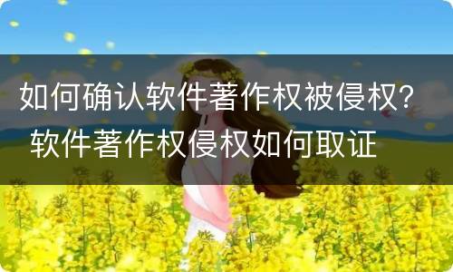 如何确认软件著作权被侵权？ 软件著作权侵权如何取证