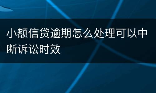 小额信贷逾期怎么处理可以中断诉讼时效