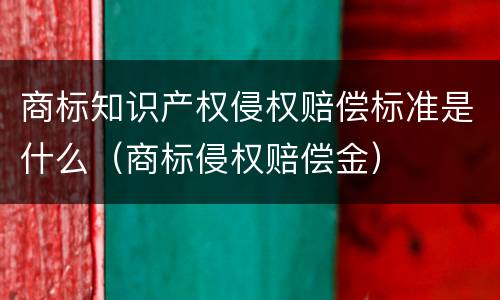 商标知识产权侵权赔偿标准是什么（商标侵权赔偿金）
