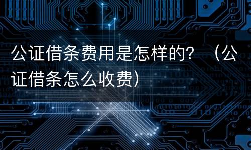 公证借条费用是怎样的？（公证借条怎么收费）