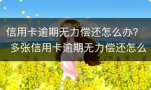 信用卡逾期无力偿还怎么办？ 多张信用卡逾期无力偿还怎么办