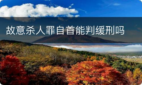 故意杀人罪自首能判缓刑吗