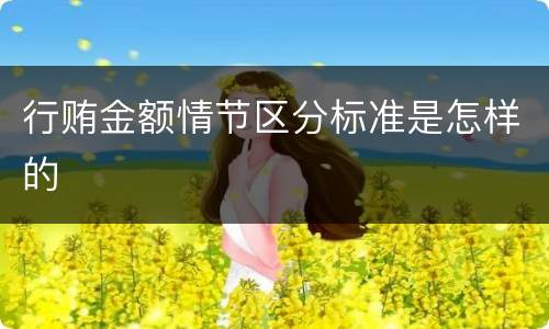 行贿金额情节区分标准是怎样的