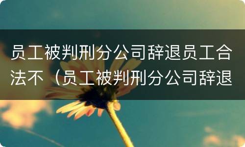 员工被判刑分公司辞退员工合法不（员工被判刑分公司辞退员工合法不）